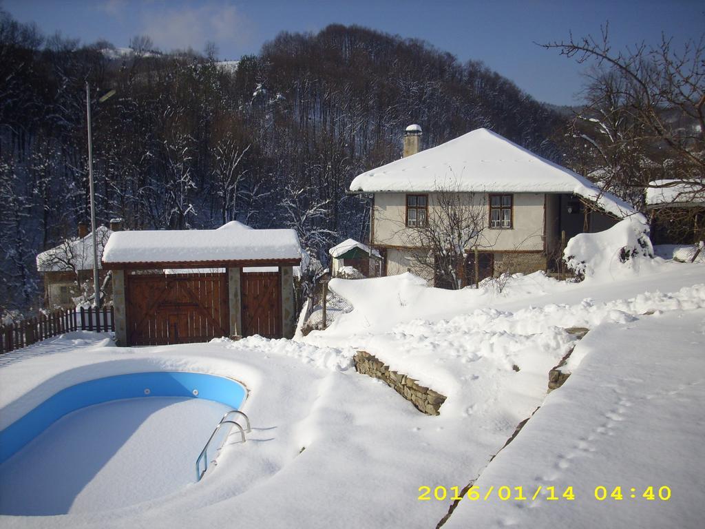 House Maya Tryavna Exterior photo