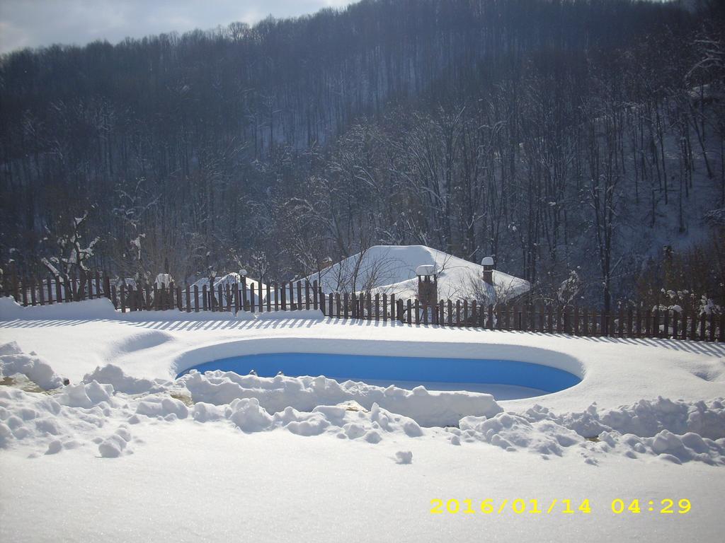 House Maya Tryavna Exterior photo
